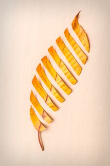 Abstract Autumn Royalty Free Stock Photo