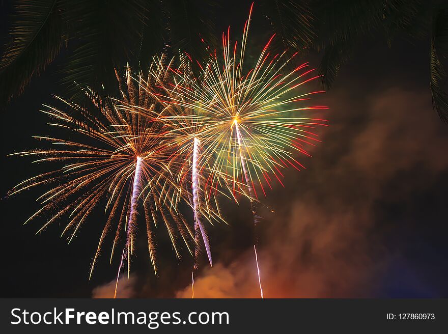 Abstract colored firework on dark sky background