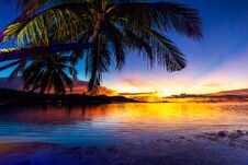 Beautiful Colorful Sunset With Coconut Palm Tree On The Beach In Stock Photos
