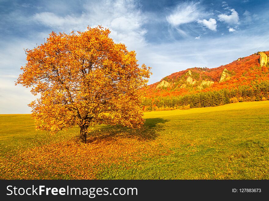 Landscape with a trees in autumn colors, National Nature Reserve Sulov Rocks, Slovakia, Europe. Landscape with a trees in autumn colors, National Nature Reserve Sulov Rocks, Slovakia, Europe.