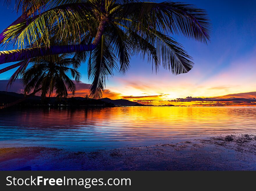Beautiful colorful sunset with coconut palm tree on the beach in