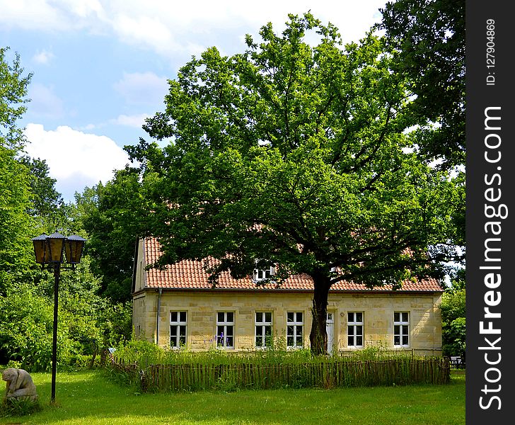 Nature, Tree, House, Estate