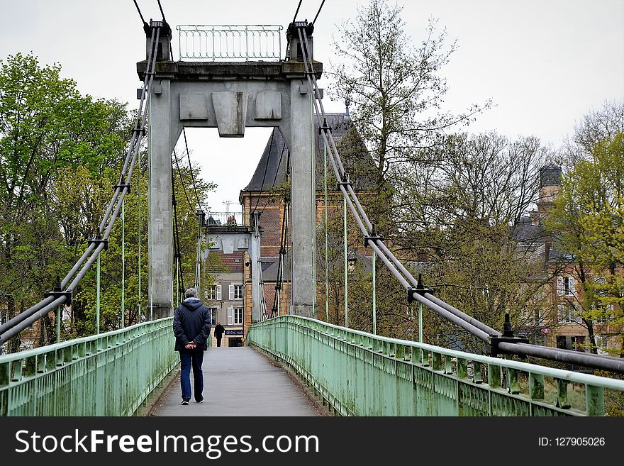 Bridge, Suspension Bridge, Tree, Tourist Attraction