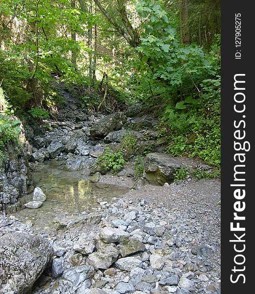Water, Stream, Creek, Nature Reserve