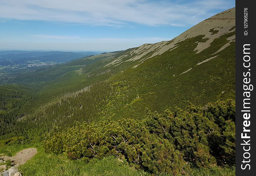 Highland, Chaparral, Ridge, Vegetation