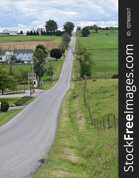 Road, Tree, Rural Area, Grass