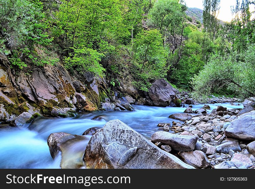 Water, Stream, Nature, Body Of Water