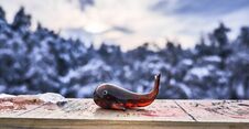 Winter Background. Glass Whale Toy In Front Of Forest Covered With Snow. Stock Images
