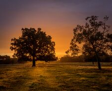 A View Of Trees Silhouetted Against A Sunrise Royalty Free Stock Image