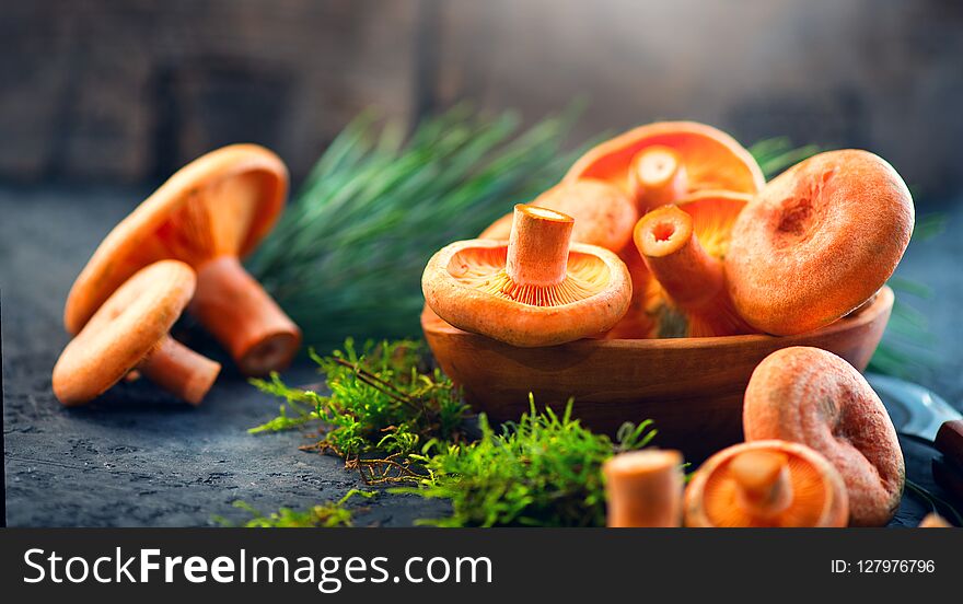 Raw Wild Saffron Milk Cep Mushrooms On Dark Old Rustic Background. Lactarius Deliciosus. Rovellons, Niscalos. Organic Mushrooms