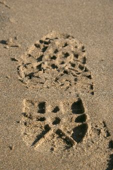 Closeup Footprint On Wet Sand Whole Royalty Free Stock Image