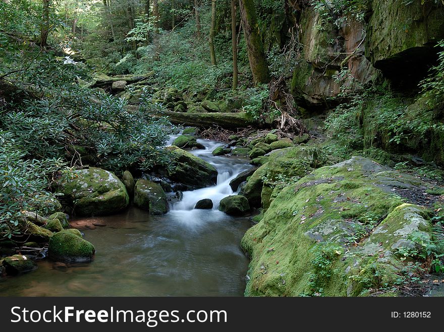 Stream in Tennessee flows through Roaring Forks. Stream in Tennessee flows through Roaring Forks.