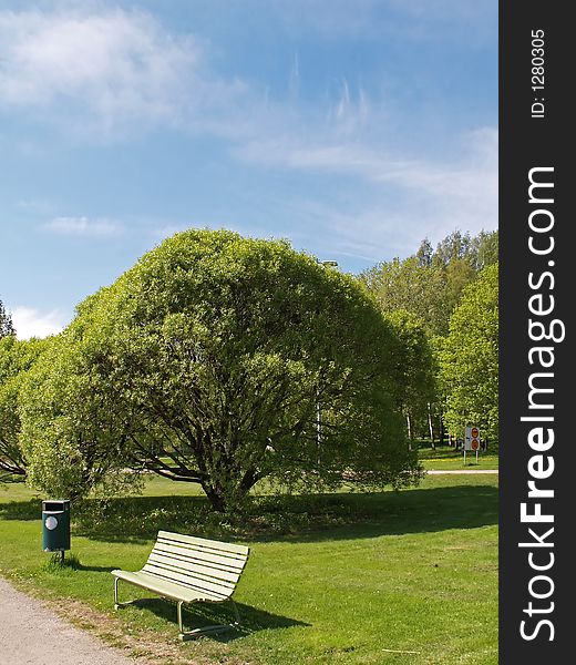 Bench and a tree in a park