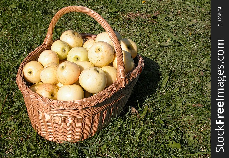 Basket Of Apples