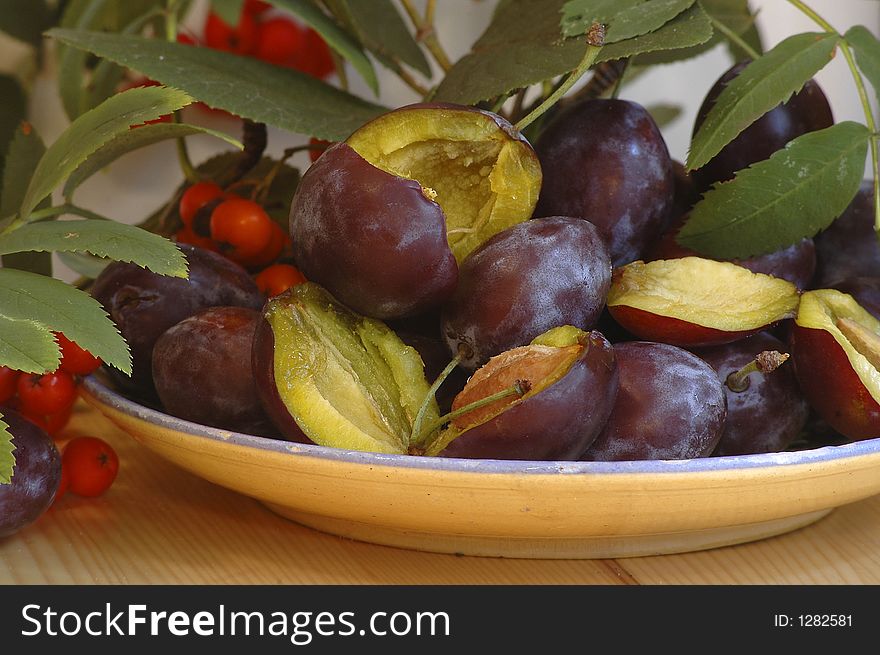 Autumnal fresh plums on the plate