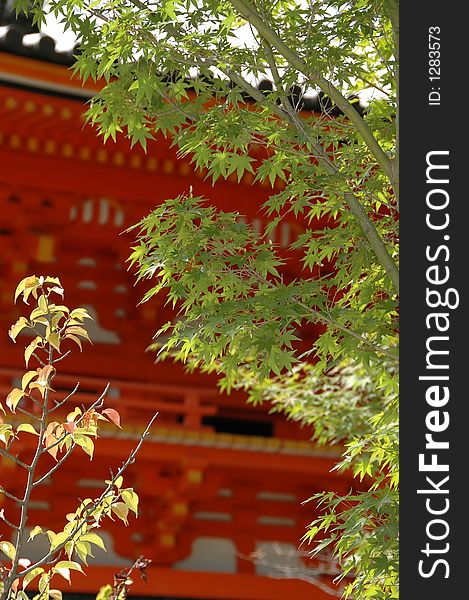 Autumnal Japan. Japanese architecture and autumnal trees