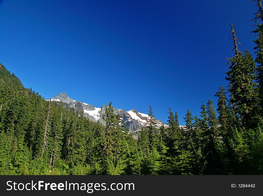Mountain wilderness in Washington State. Mountain wilderness in Washington State