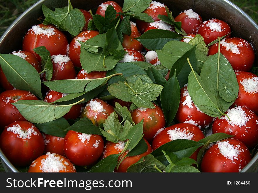 Tomatoes with currant leaves and salt in big pan wide