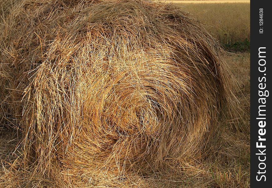 Harvested roll of straw one, close-up