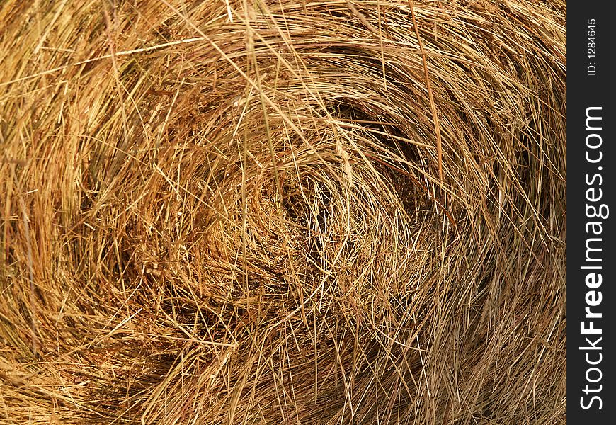 Harvested roll of straw, close-up