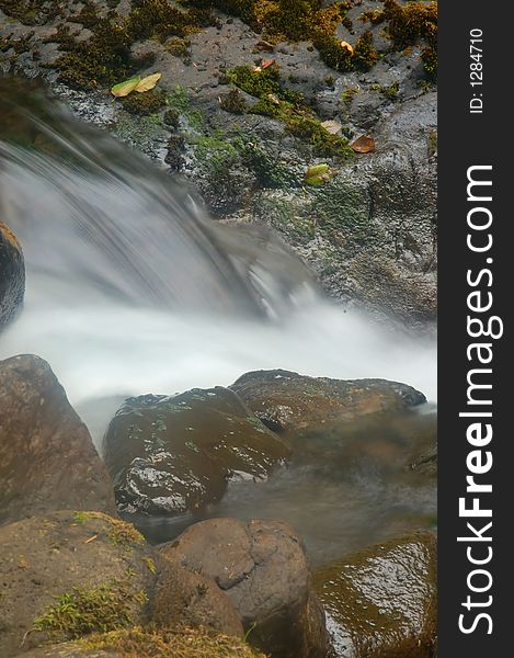 Waterfall in the rainforest of the Olympic Peninsula in Washington State. Waterfall in the rainforest of the Olympic Peninsula in Washington State