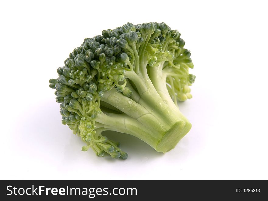 A small stalk of Broccoli on White