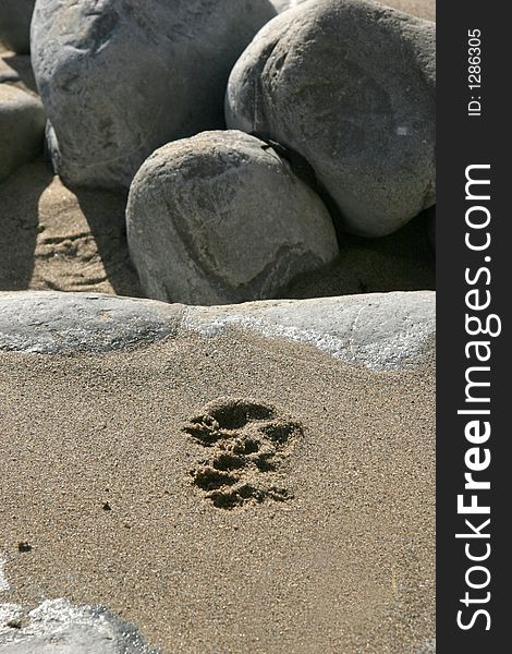 Footprint On Wet Sand On Rock