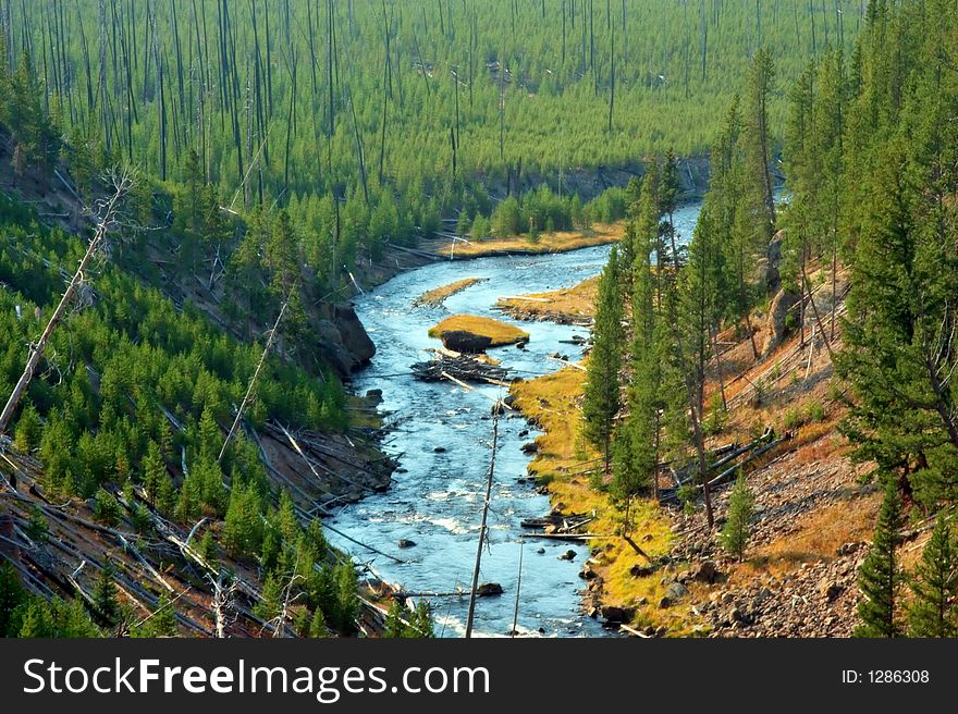 Running river in Yellowstone Park