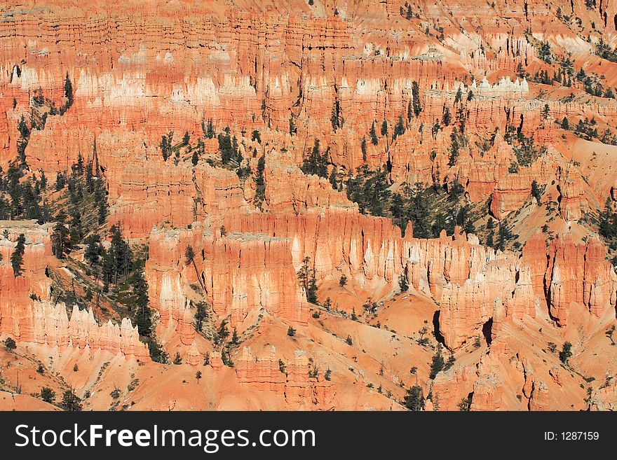 Hoodoos At Bryce Canyon