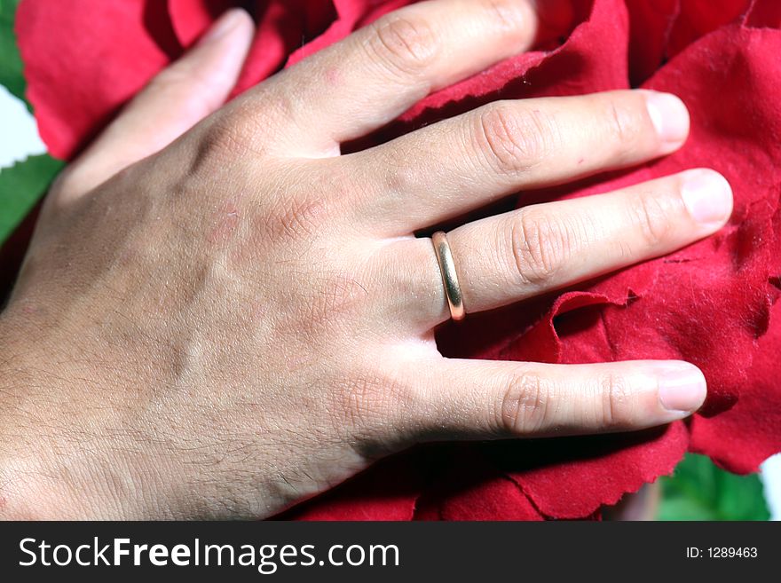 Mans hand with wedding ring on the flower. Mans hand with wedding ring on the flower