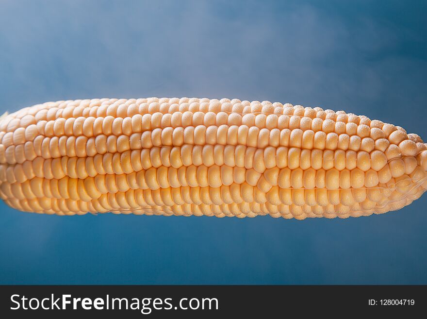 Tasty Boiled Corn Steam On A Blue Background.