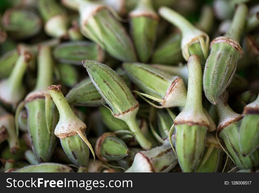 Organic green okra vegetable texture background. Organic green okra vegetable texture background