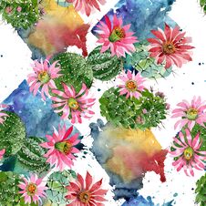 Watercolor Green Cactus With A Pink Flower. Floral Botanical Flower. Seamless Background Pattern. Royalty Free Stock Images