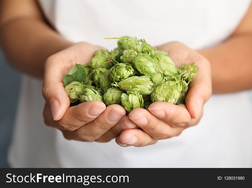 Woman holding fresh green hops, closeup