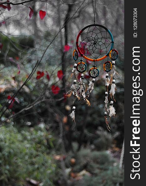 Photograph of a very colorful dream catcher hanging on a tree also colorful, photography captured in Madrid