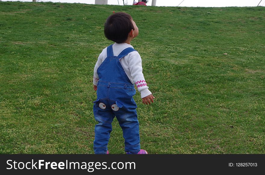 Child, Blue, Green, Grass