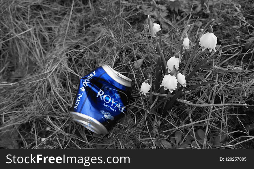 Blue, Grass, Black And White, Litter