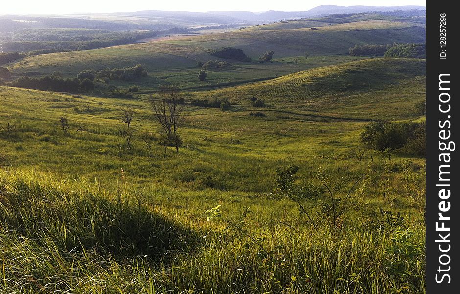 Grassland, Hill, Highland, Ecosystem