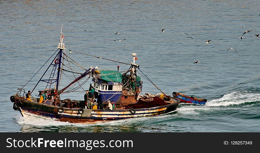 Boat, Water Transportation, Watercraft, Fishing Vessel