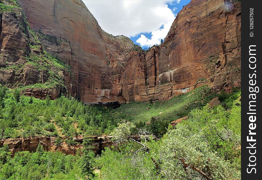 Nature Reserve, Vegetation, Wilderness, Ecosystem