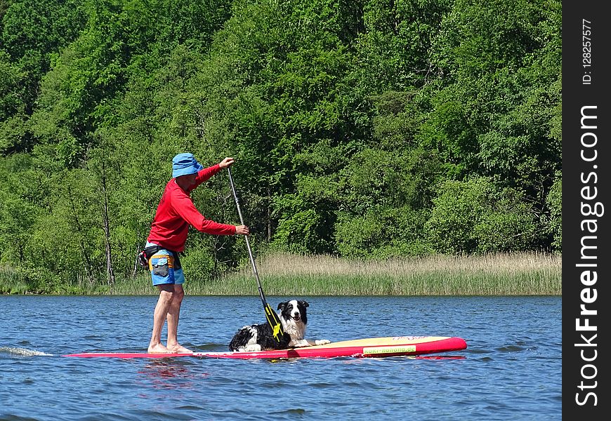 Water, Nature, Waterway, Canoeing