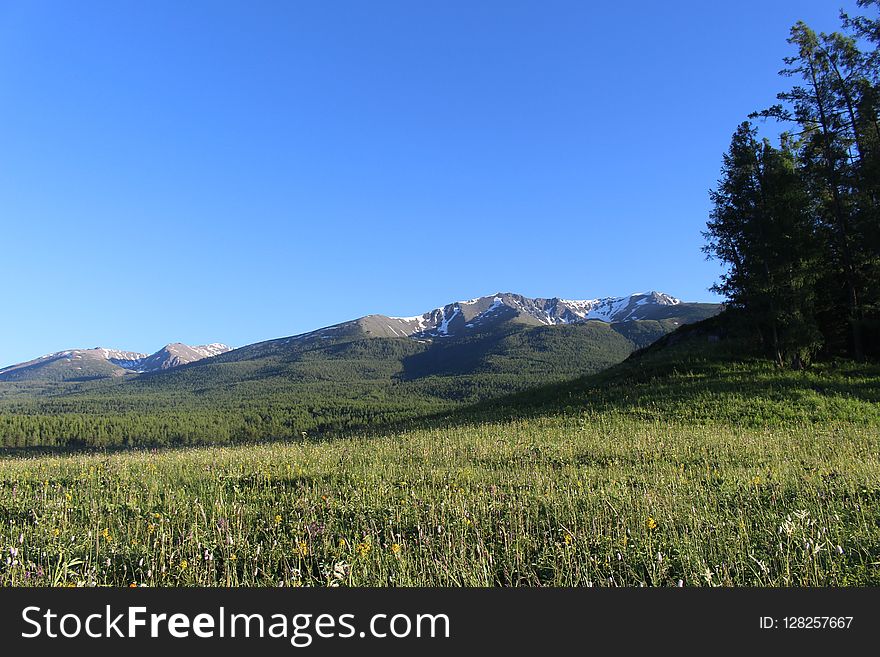 Grassland, Ecosystem, Mountainous Landforms, Wilderness