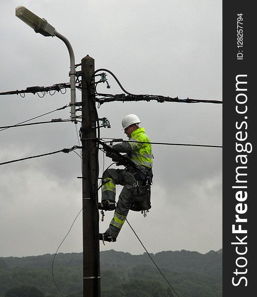 Tree, Woody Plant, Plant, Electricity