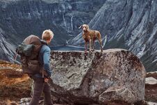 Tourist Male With His Cute Dog Standing On Top Of The Norwegian Fjord. Royalty Free Stock Photography