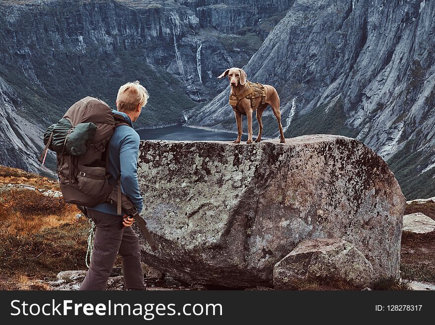 Tourist Male With His Cute Dog Standing On Top Of The Norwegian Fjord.