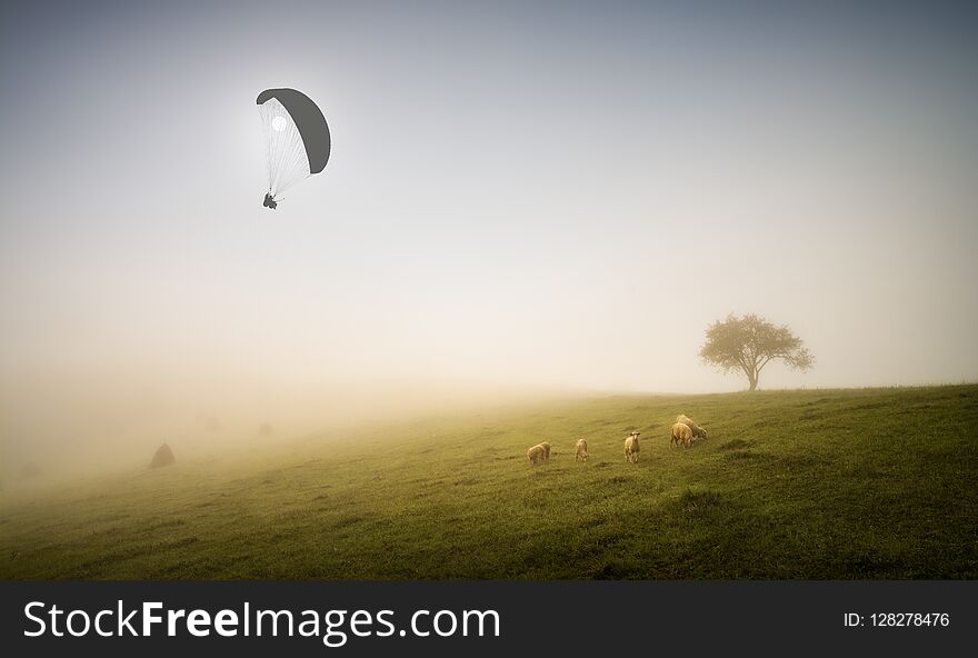 Paraglider silhouette over carpathian mountains