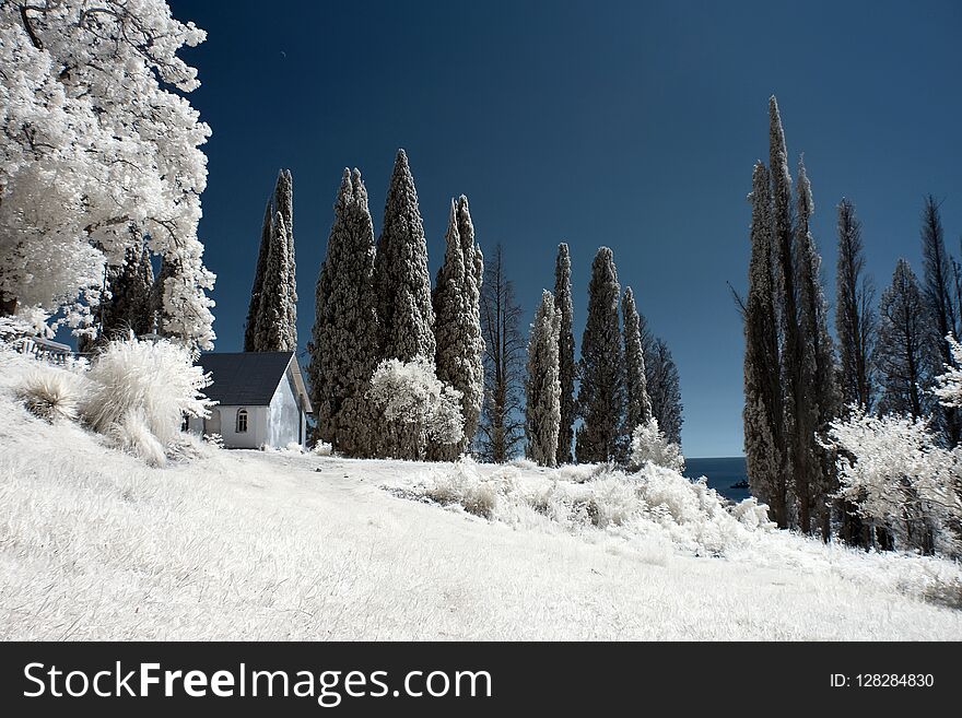 Beautiful Surreal View Of The House And White Trees