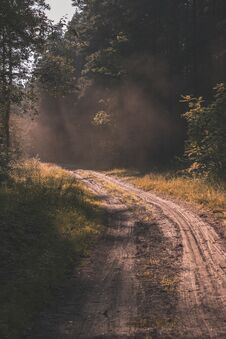 Simple Gravel Country Road In Summer In Forest - Vintage Retro L Stock Photos