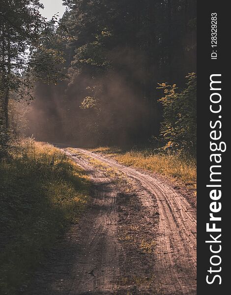 simple gravel country road in summer in forest - vintage retro l