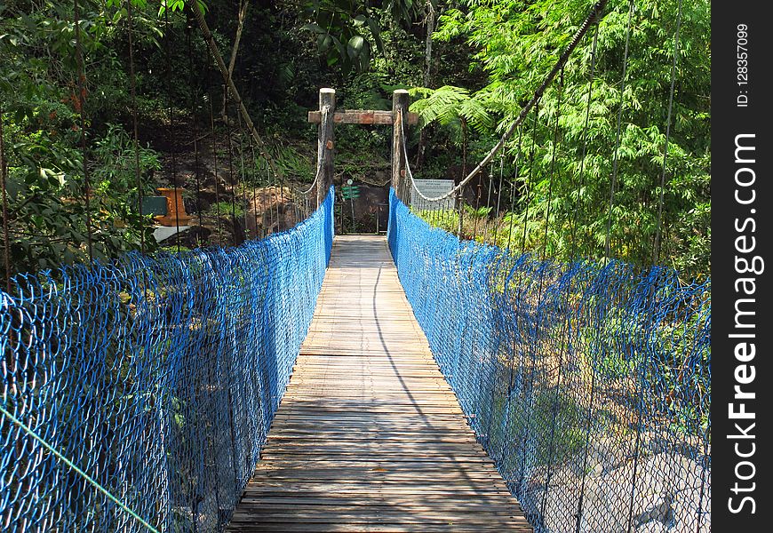 Nature Reserve, Bridge, Suspension Bridge, Path